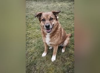 Lulu braucht endlich liebe Menschen!