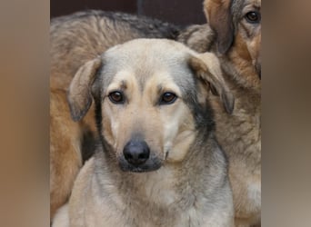 Laura sucht ihre Menschen