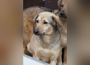 Laura sucht ihre Menschen