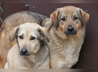 Laura sucht ihre Menschen