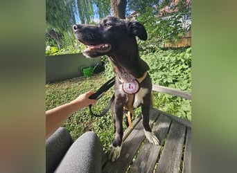 Herzensbrecher Moritz sucht seine Menschen