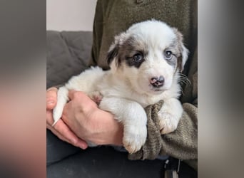 Flora – jung, behütet und in Sicherheit 