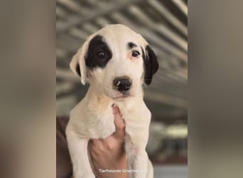 Beverly – neugierig, stark und bereit fürs Abenteuer Leben