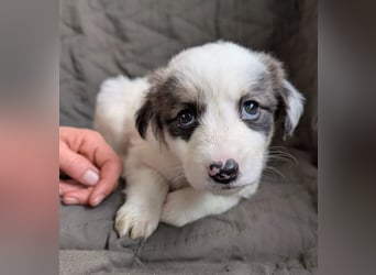 Flora – jung, behütet und in Sicherheit 