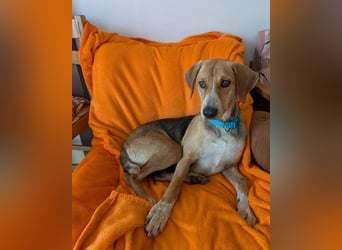 Irmela – liebevolle und fürsorgliche Hundemama 