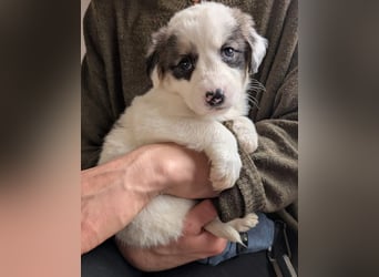 Flora – jung, behütet und in Sicherheit 