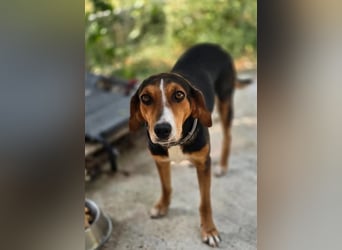 Lotta – eine kleine Menschenfreundin ❤️