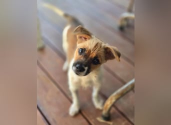 Mavy – kleine Maus mit ganz viel guter Laune ❤️