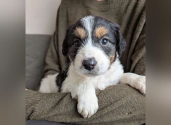 Franzi – mit ihrer Familie ins Leben gestartet 