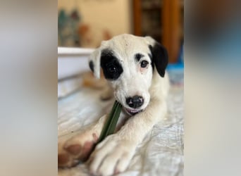 Beverly – neugierig, stark und bereit fürs Abenteuer Leben