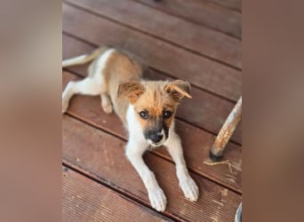 Mavy – kleine Maus mit ganz viel guter Laune ❤️