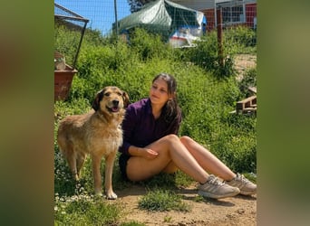 Tilda – ruhig und freundlich ❤️ Bereits auf PS in 58452 Witten!