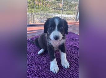 Abby – kleine Entdeckerin ❤️