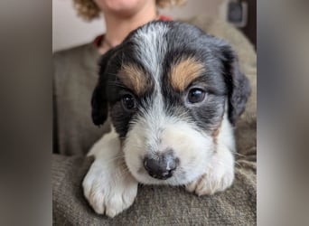 Franzi – mit ihrer Familie ins Leben gestartet 