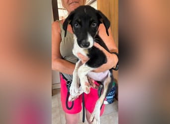 Moira - bereit für ein tolles Leben