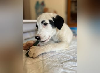 Beverly – neugierig, stark und bereit fürs Abenteuer Leben