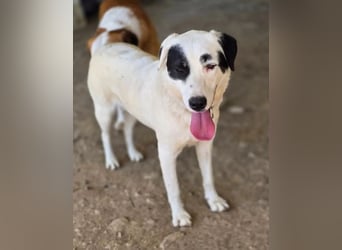 Beverly – neugierig, stark und bereit fürs Abenteuer Leben