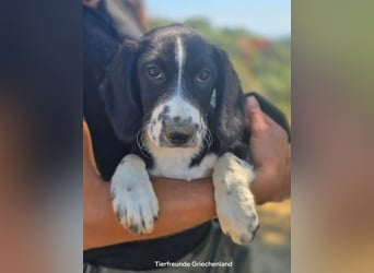 Abby – kleine Entdeckerin ❤️