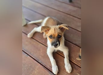 Mavy – kleine Maus mit ganz viel guter Laune ❤️