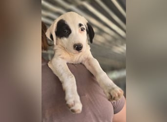 Beverly – neugierig, stark und bereit fürs Abenteuer Leben