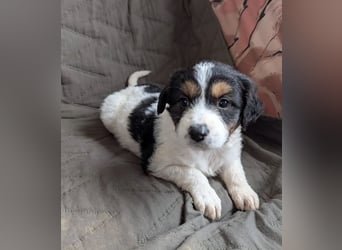 Franzi – mit ihrer Familie ins Leben gestartet 