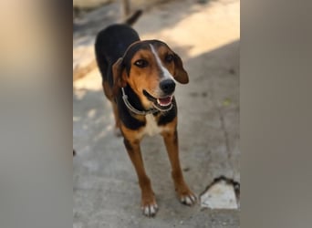 Lotta – eine kleine Menschenfreundin ❤️