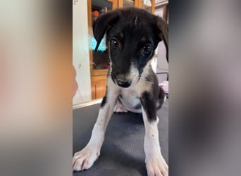 Moira - bereit für ein tolles Leben