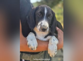 Abby – kleine Entdeckerin ❤️