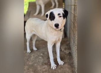 Beverly – neugierig, stark und bereit fürs Abenteuer Leben