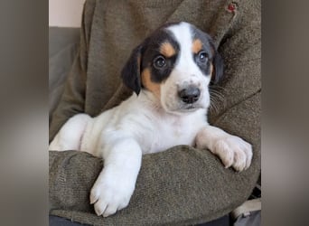 Feli – ein junger Anfang 