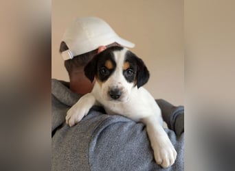 Feli – ein junger Anfang 