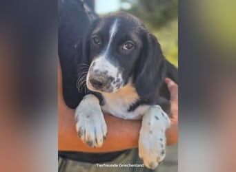 Abby – kleine Entdeckerin ❤️