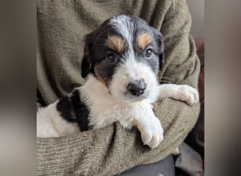 Franzi – mit ihrer Familie ins Leben gestartet 