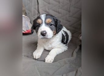 Franzi – mit ihrer Familie ins Leben gestartet 