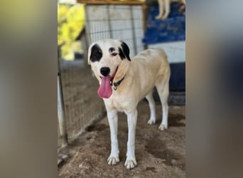 Beverly – neugierig, stark und bereit fürs Abenteuer Leben