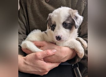 Flora – jung, behütet und in Sicherheit 