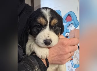 Franzi – mit ihrer Familie ins Leben gestartet 