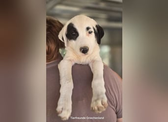 Beverly – neugierig, stark und bereit fürs Abenteuer Leben