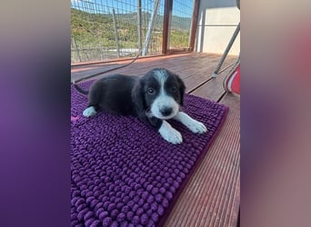 Abby – kleine Entdeckerin ❤️