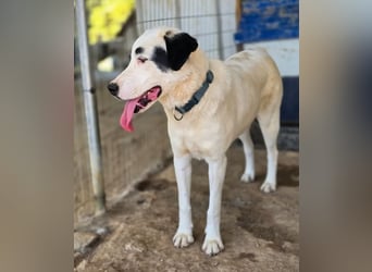 Beverly – neugierig, stark und bereit fürs Abenteuer Leben