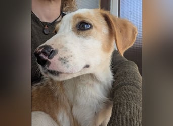 Fanni – kleines Mädchen auf der Suche nach Liebe 