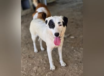 Beverly – neugierig, stark und bereit fürs Abenteuer Leben