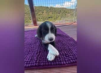 Abby – kleine Entdeckerin ❤️