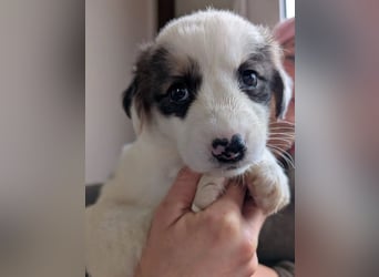 Flora – jung, behütet und in Sicherheit 