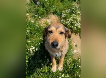 Tilda – ruhig und freundlich ❤️ Bereits auf PS in 58452 Witten!