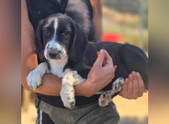 Abby – kleine Entdeckerin ❤️