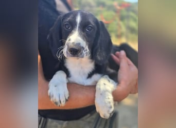 Abby – kleine Entdeckerin ❤️