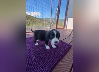 Abby – kleine Entdeckerin ❤️