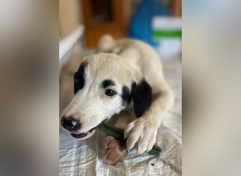 Beverly – neugierig, stark und bereit fürs Abenteuer Leben