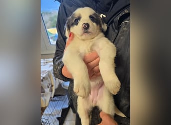 Flora – jung, behütet und in Sicherheit 